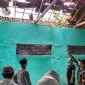 Petugas Saat Melakukan Peninjauan Beberapa Fasilitas Yang Rusak Akibat Cuaca Ekstrem.