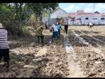 Optimisme Petani Tembakau Pamekasan Menguat di Awal Musim Tanam