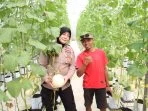 Dukung Ketahanan Pangan, Kabag SDM Polres Sumenep Tinjau Panen Melon Berbasis Smart Farming di Desa Kasengan
