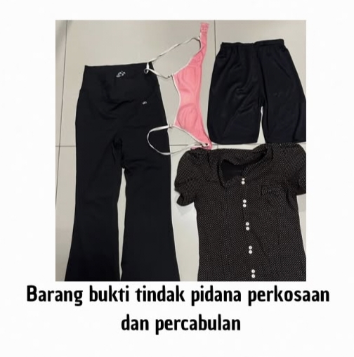 Polresta Sumenep Ungkap Dugaan Kekerasan Seksual terhadap Anak, Pemuda 22 Tahun Diamankan