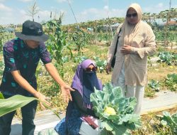 Tinuk Holil Petik Buah Segar di SAE Ram  Belakang Lapas Kelas IIA Pamekasan