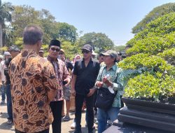 Ratusan Bonsai Spektakuler Unjuk Keahlian di Pameran Nasional Bonsai Pamekasan