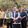 Khofifah Hadir di Sumenep, Warga Dapat Layanan Kesehatan hingga Bantuan Usaha